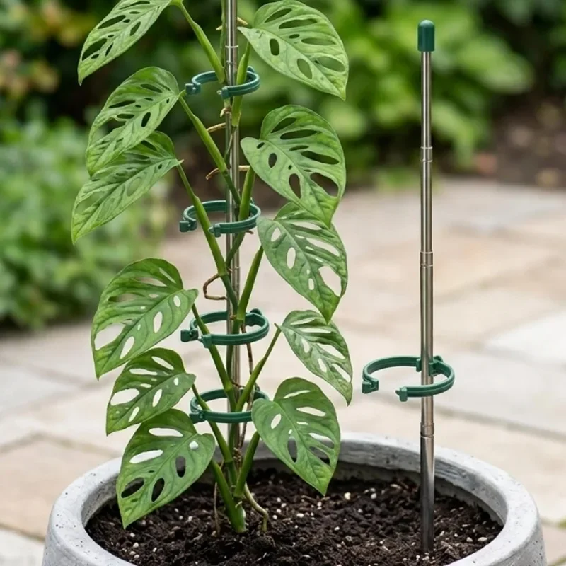 5/1PCS Retractable Plant Suppo - Plant Parent Tools ulasan dan harga