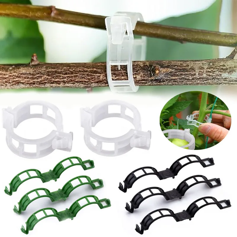100PCS Plant Fixing Clips Reus - Plant Parent Tools ulasan dan harga