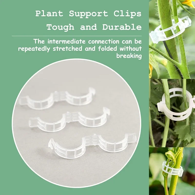 100PCS Plant Fixing Clips Reus - Plant Parent Tools ulasan dan harga