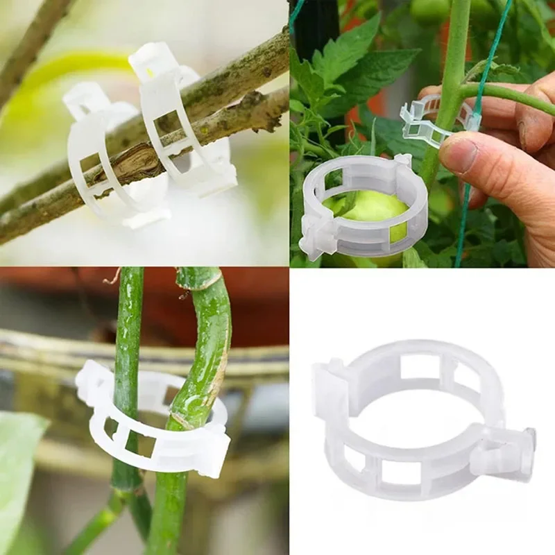 100PCS Plant Fixing Clips Reus - Plant Parent Tools ulasan dan harga
