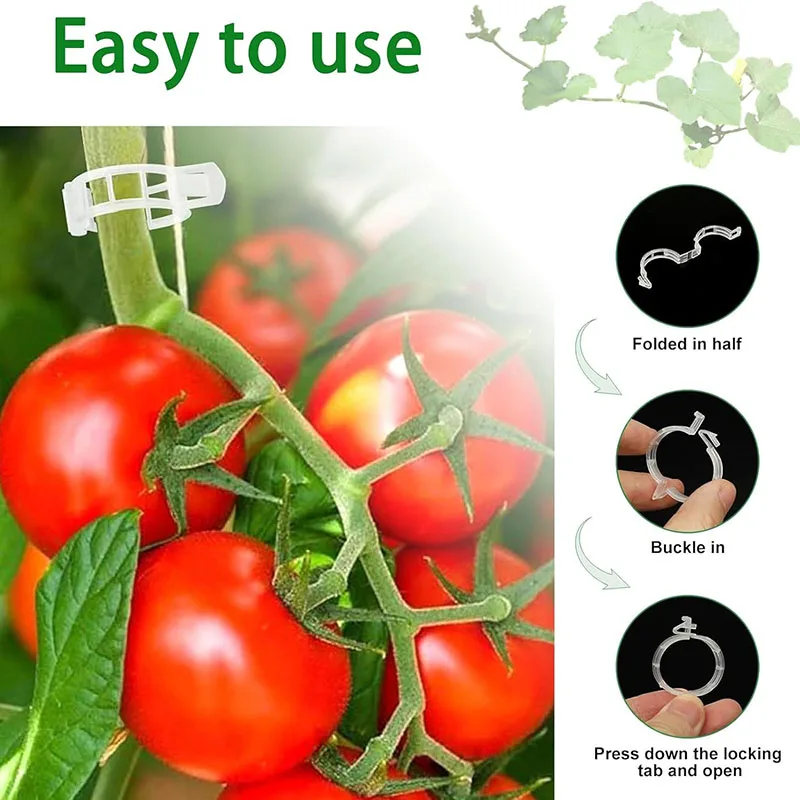 100PCS Plant Fixing Clips Reus - Plant Parent Tools ulasan dan harga