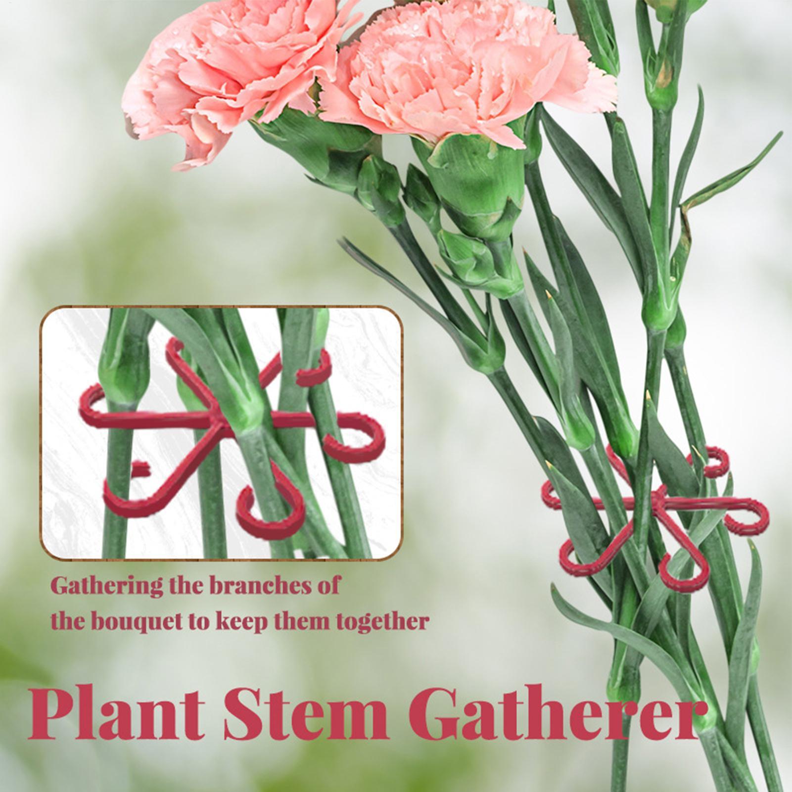 4pc Plant Fixing Clip Plant Cl - Plant Parent Tools ulasan dan harga