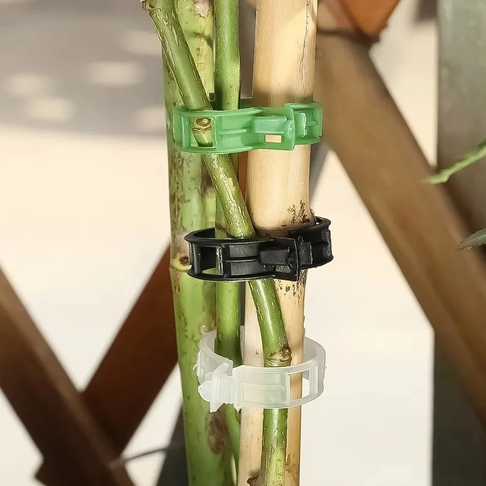 100/10PCS Plant Support Clips  - Plant Parent Tools ulasan dan harga
