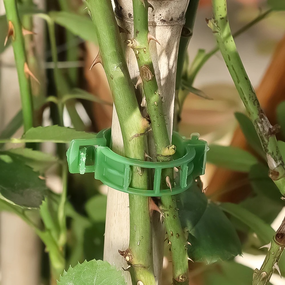 100/10PCS Plant Support Clips  - Plant Parent Tools ulasan dan harga