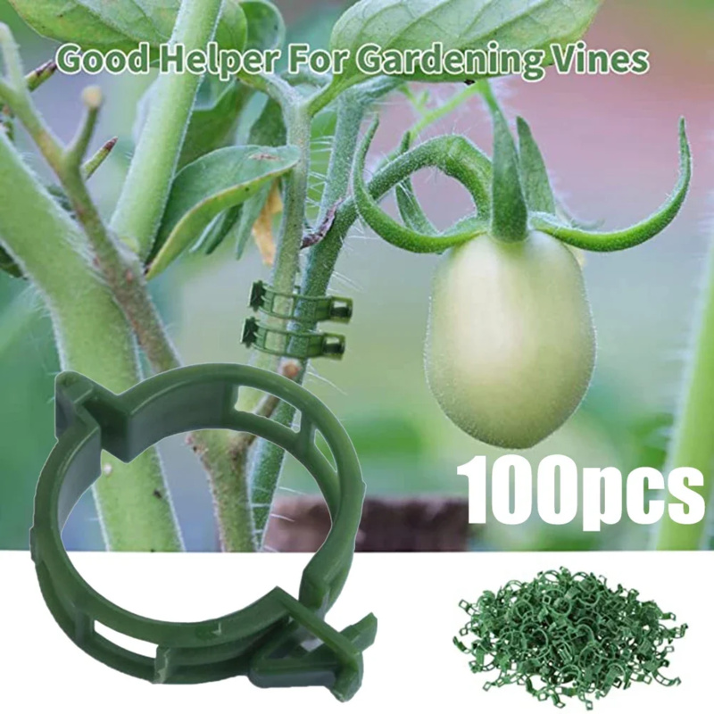 100 PCS/ Plant Support Clip Pl - Plant Parent Tools ulasan dan harga