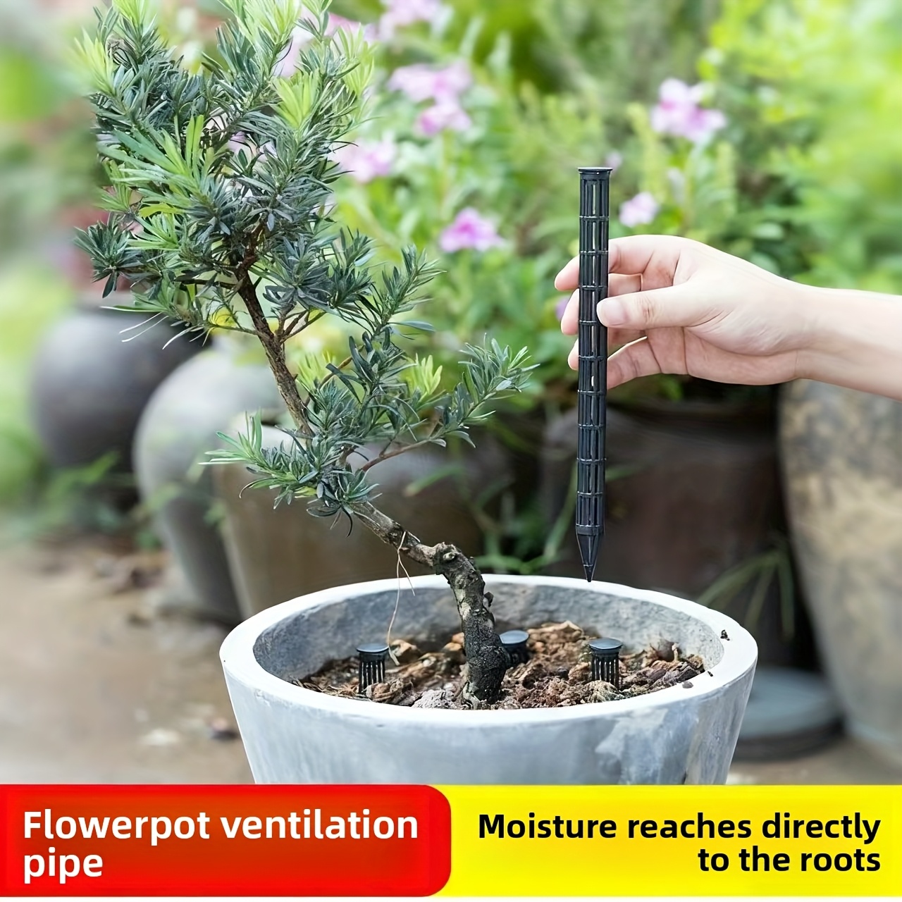 10Pcs Plant Aeration Tubes for - Plant Parent Tools ulasan dan harga