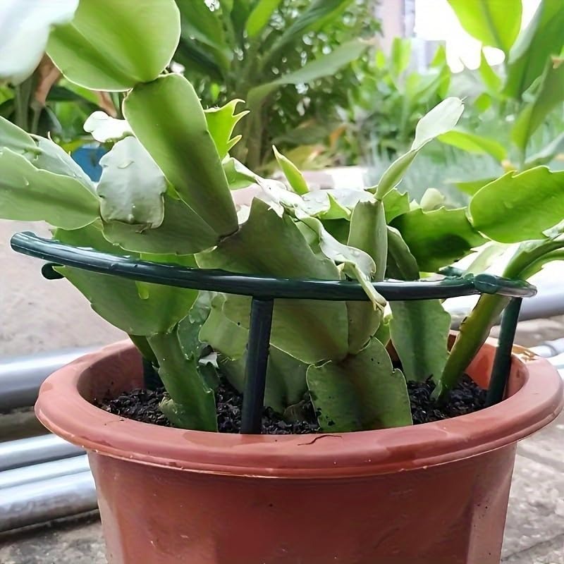 30-1PCS Plastic Plant Support  - Plant Parent Tools ulasan dan harga