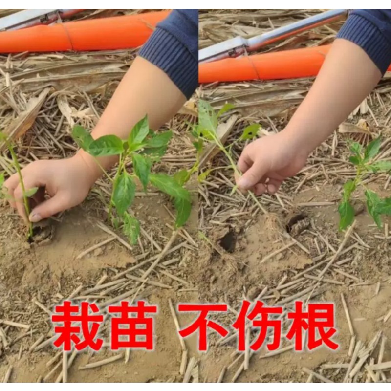 Agricultural Seedling Transpla - Plant Parent Tools ulasan dan harga