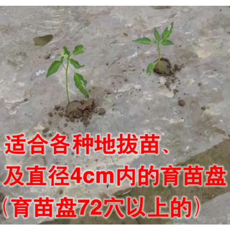 Agricultural Seedling Transpla - Plant Parent Tools ulasan dan harga