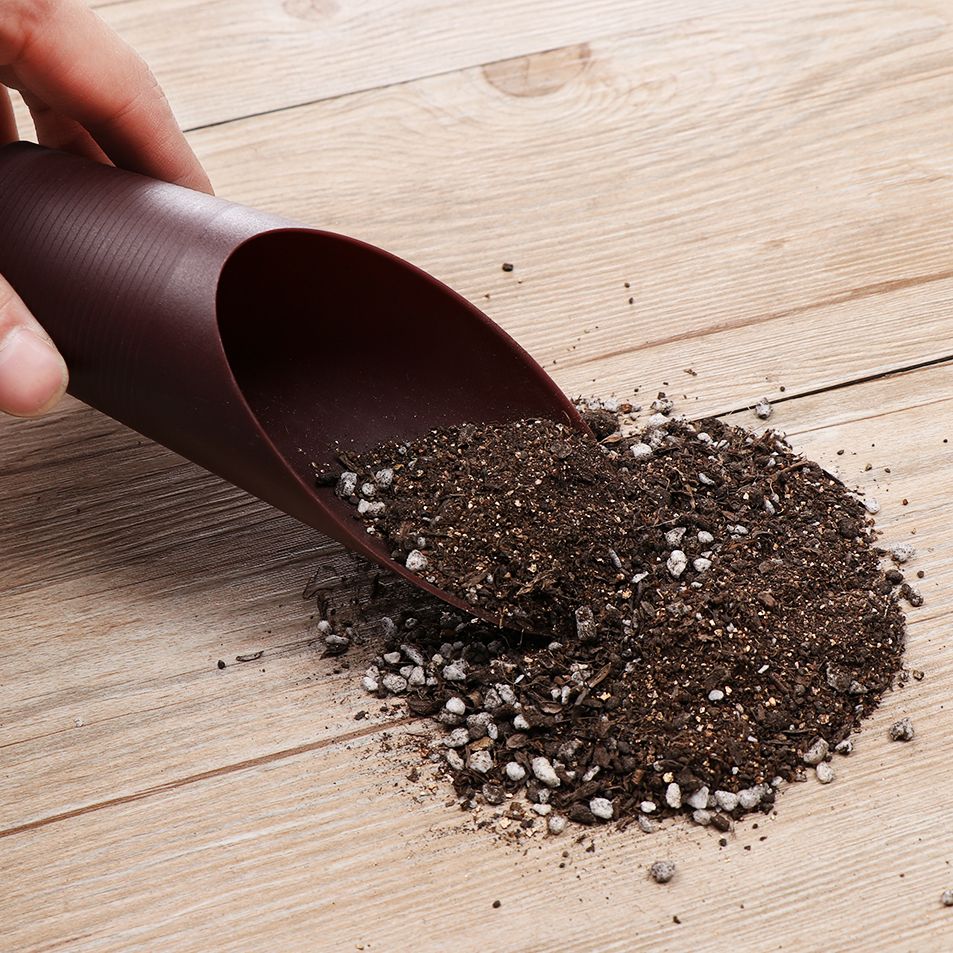 1PC Plastic Soil Shovel Cup Fo - Plant Parent Tools ulasan dan harga